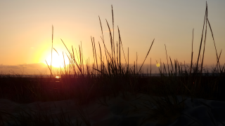 Golden Dunes at Sunset